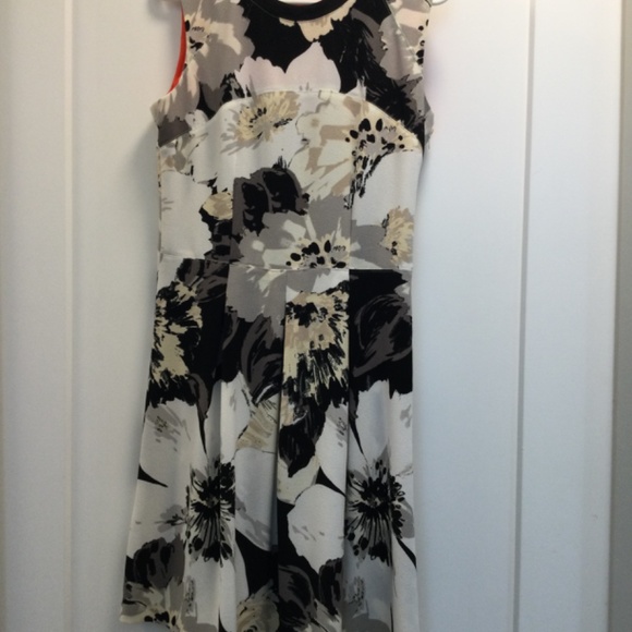 NWOT Gorgeous Ladies Summer Dress - Picture 2 of 10